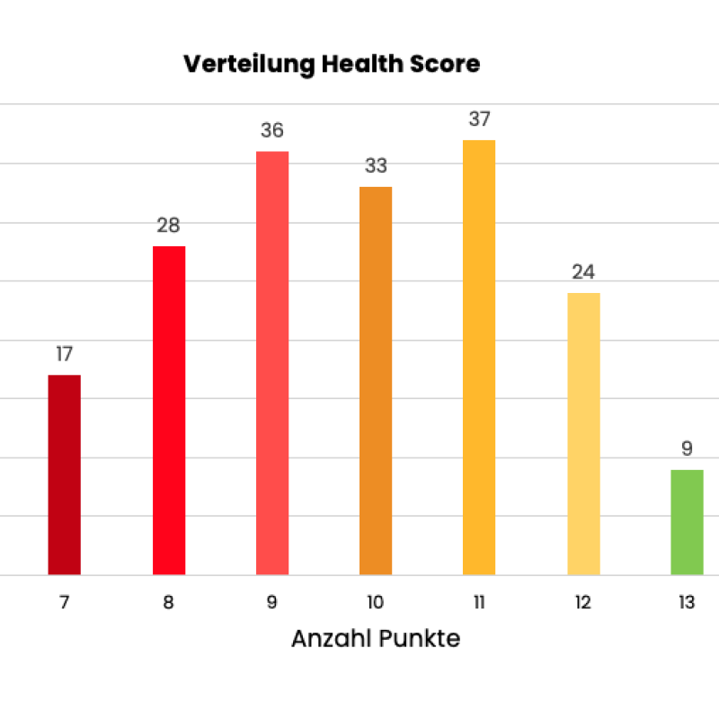 HealthCheck und Risiko-Analyse